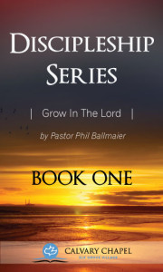 New-Disc-Series-Book-1-Cover