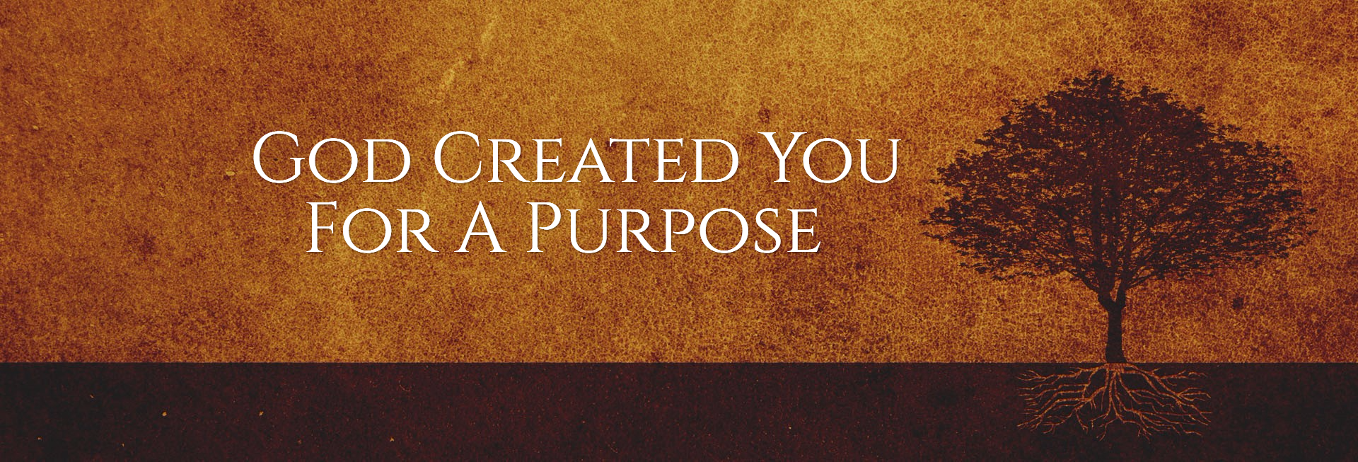 God Created You For A Purpose